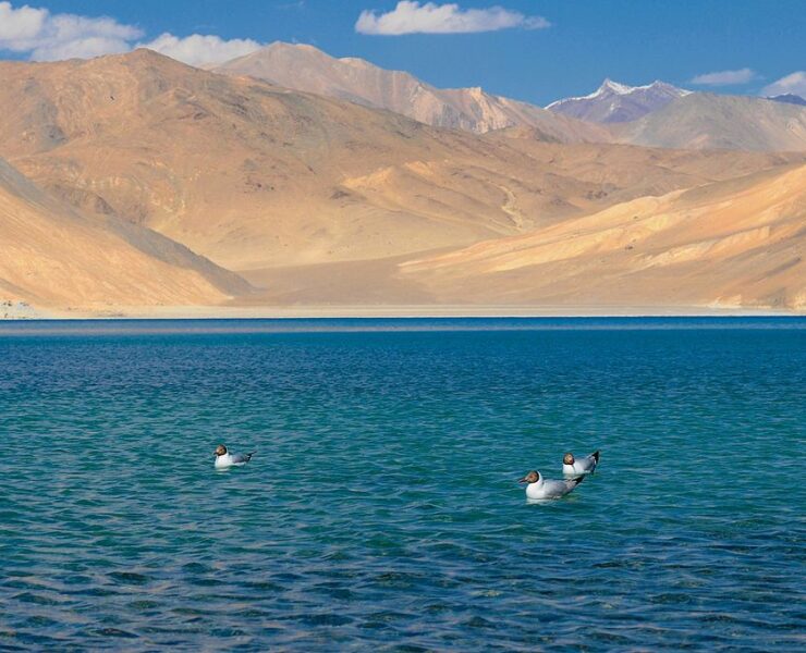 Pangong_Glacial_Lake_(Ladakh-India)