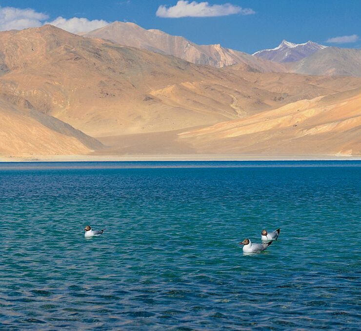 Pangong_Glacial_Lake_(Ladakh-India)